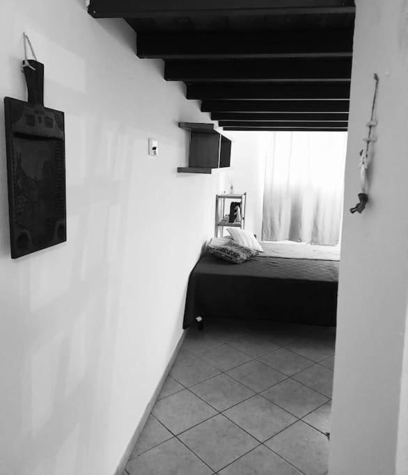 La Casa sull'Albero nel cuore di Milano