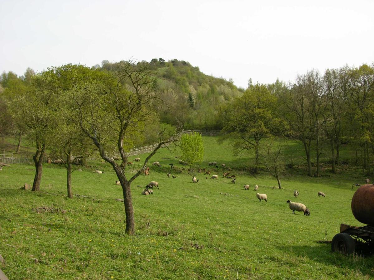 U Středohoře