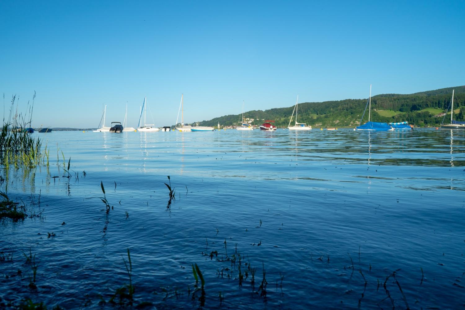 Ferienwohnung Bodensee Gaienhofen