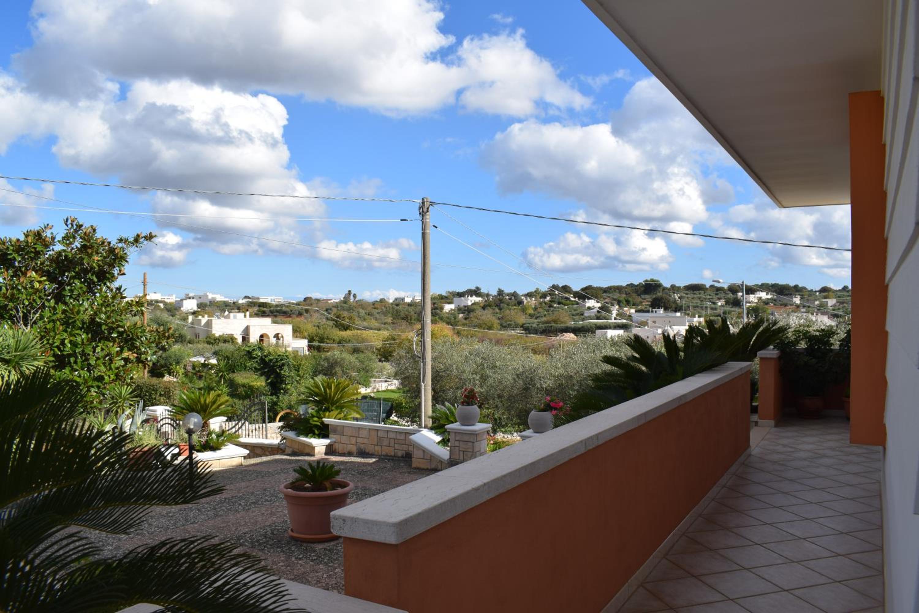Photo 47
