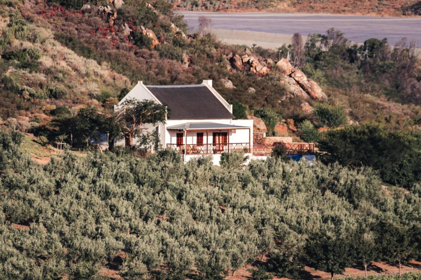 Orange Grove
