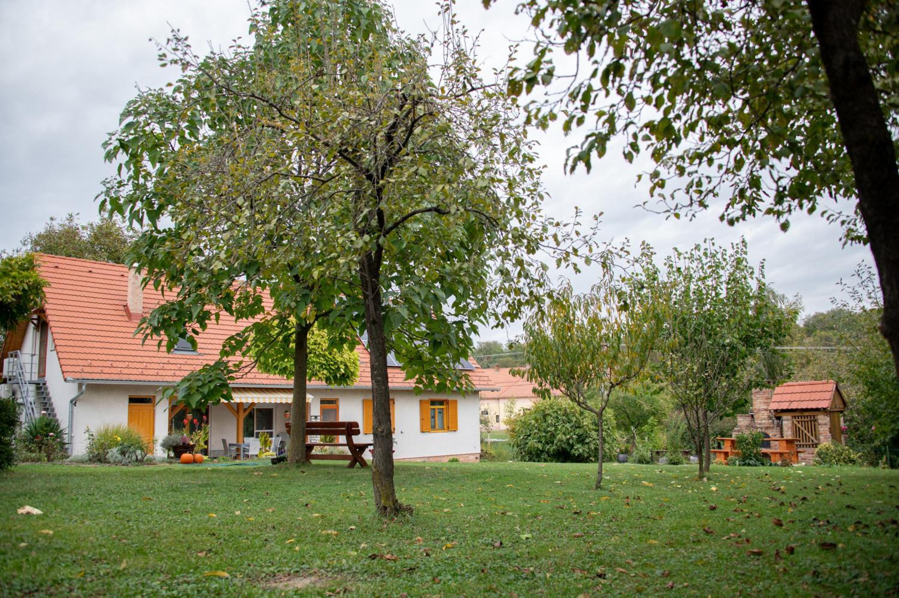Photo 49