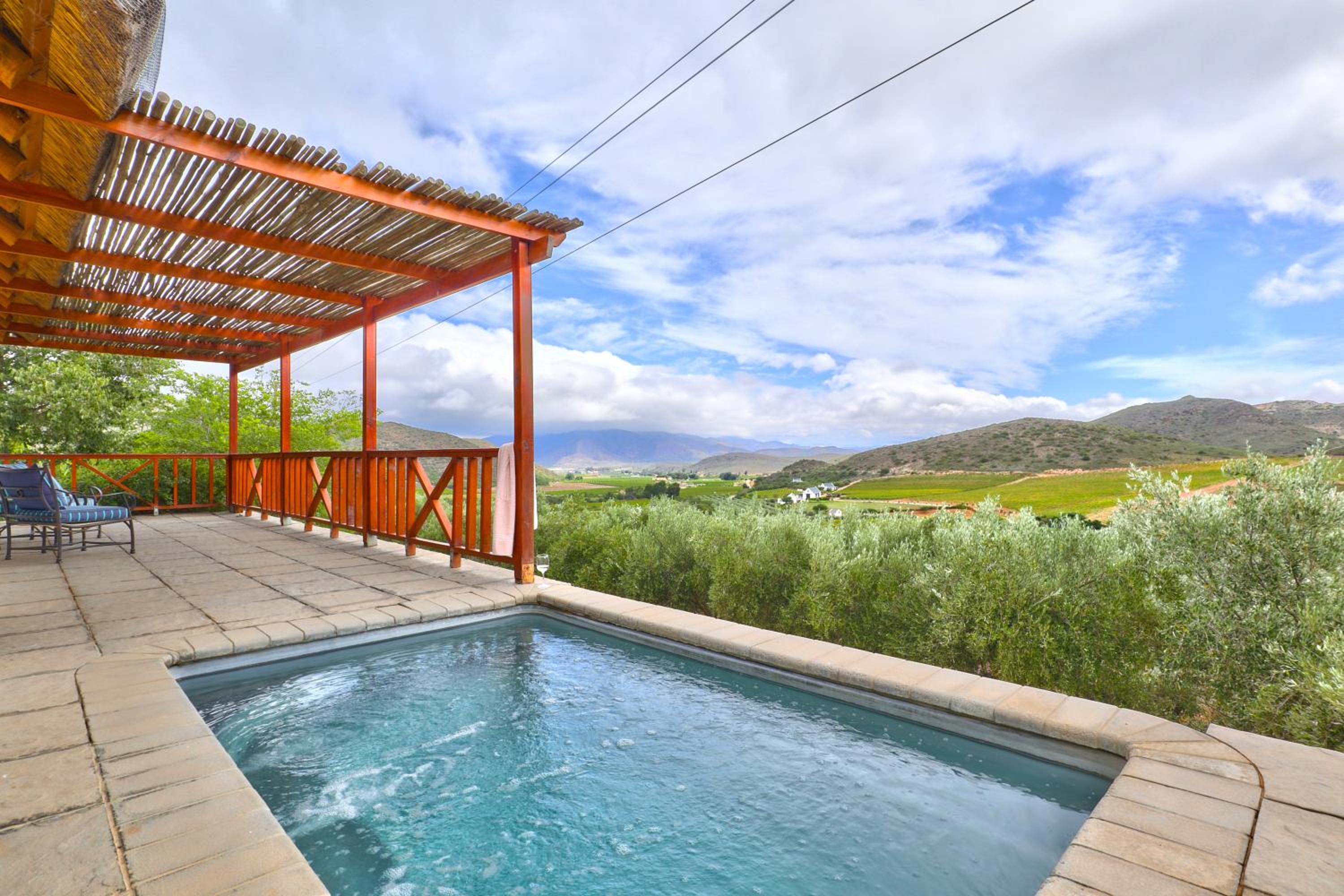 Orange Grove