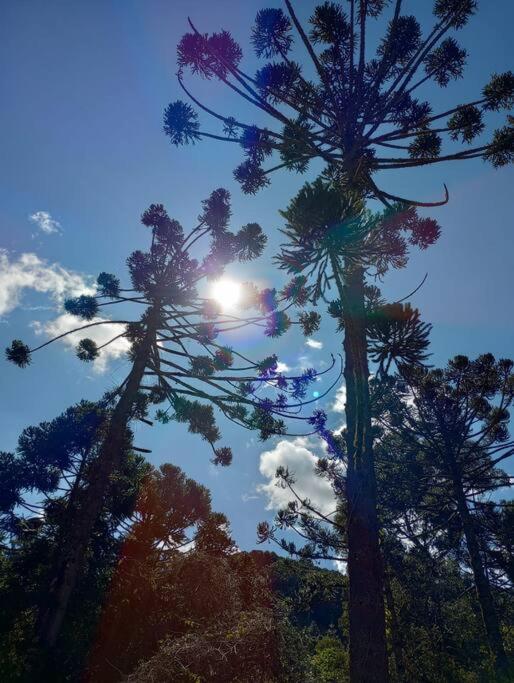 Rancho Toa-toa próximo a Gonçalves MG
