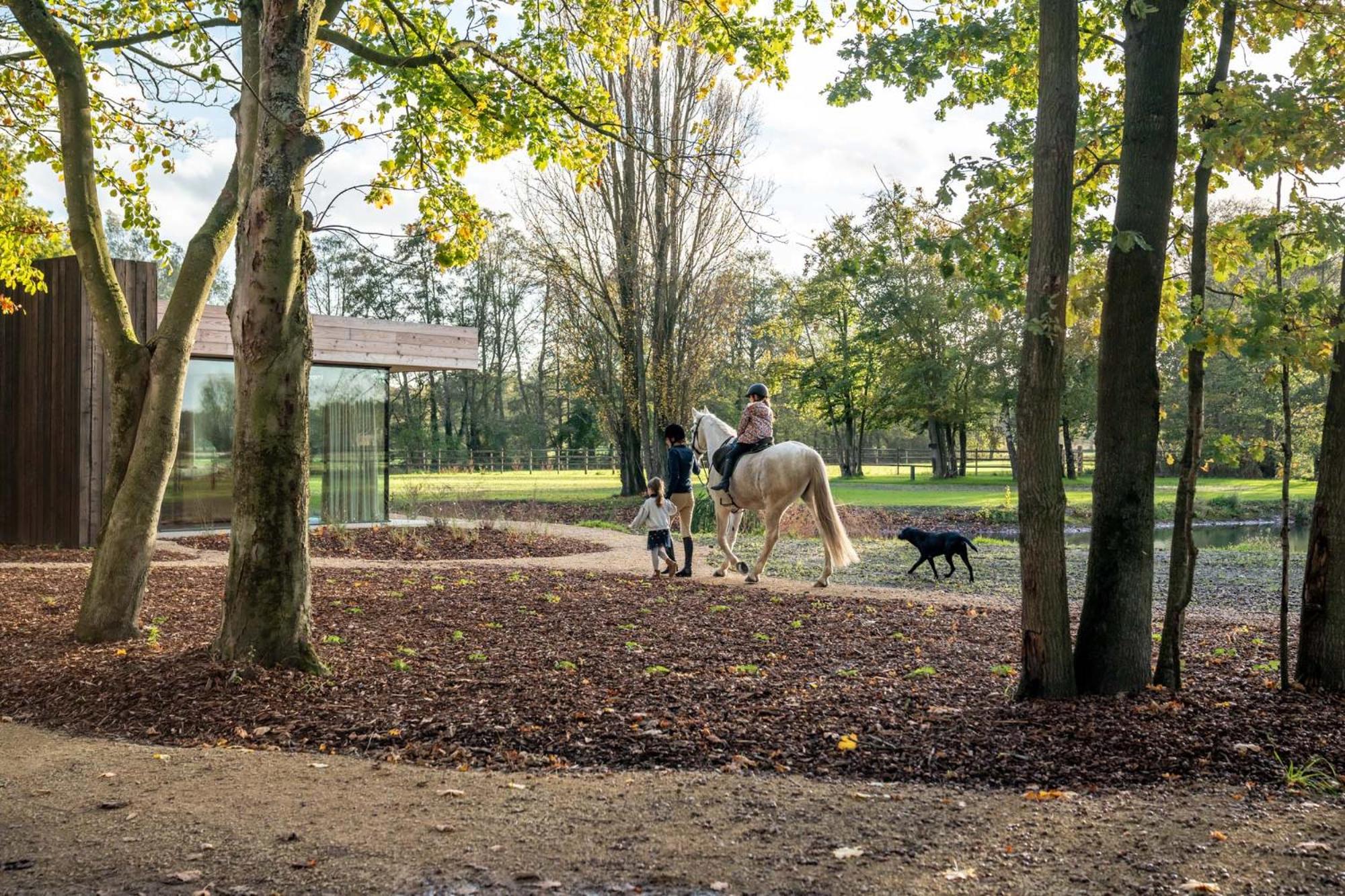 Equilodge 't Blommeke - Reconnect with nature