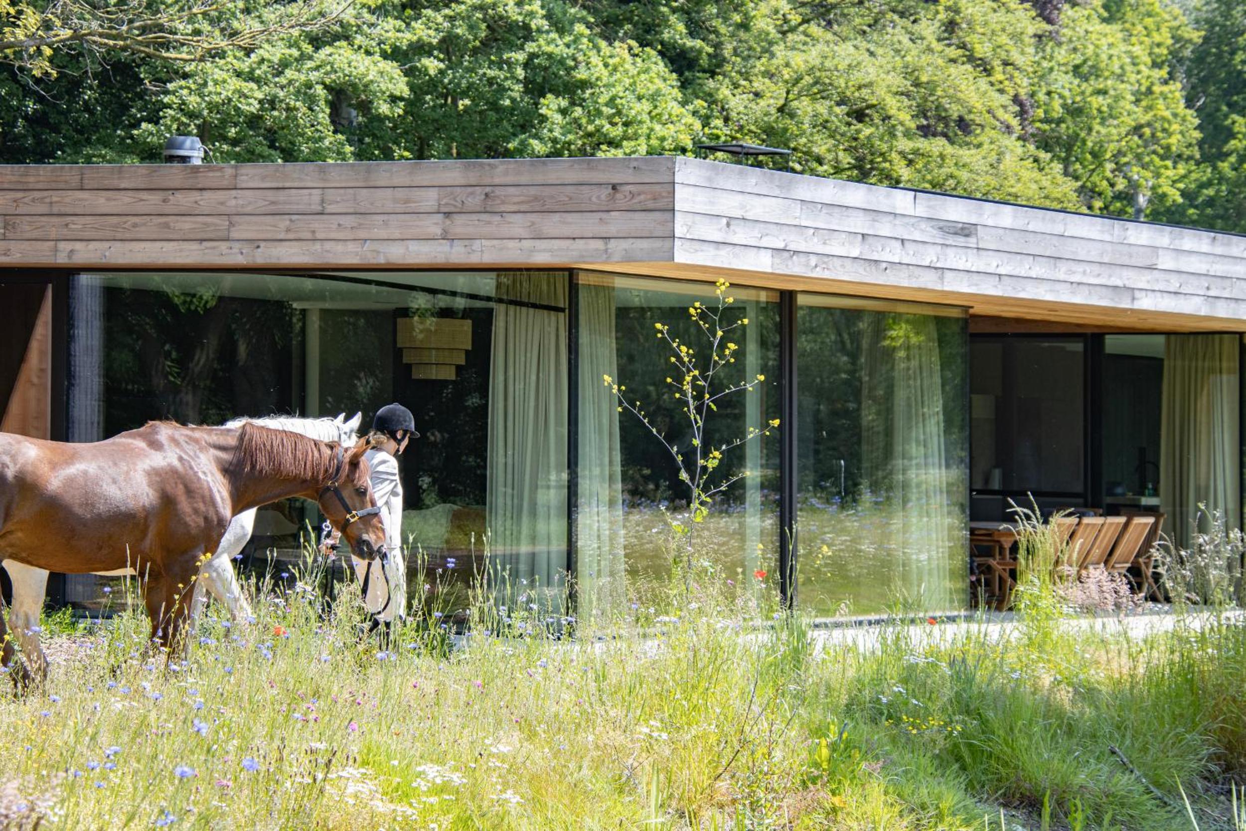 Equilodge 't Blommeke - Reconnect with nature