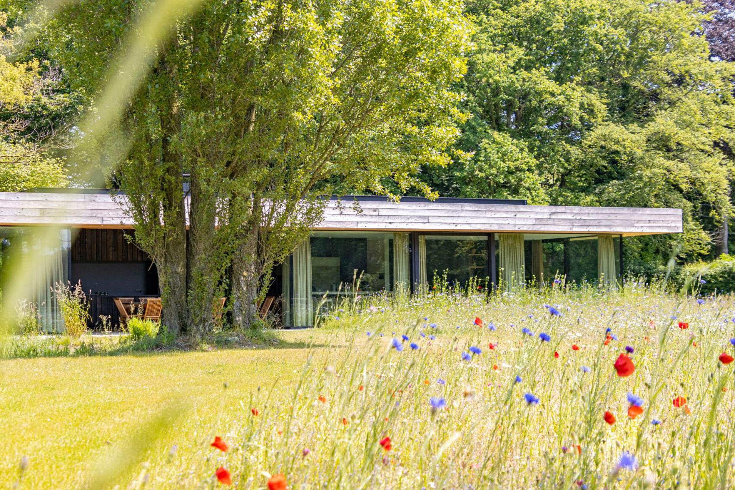 Equilodge 't Blommeke - Reconnect with nature