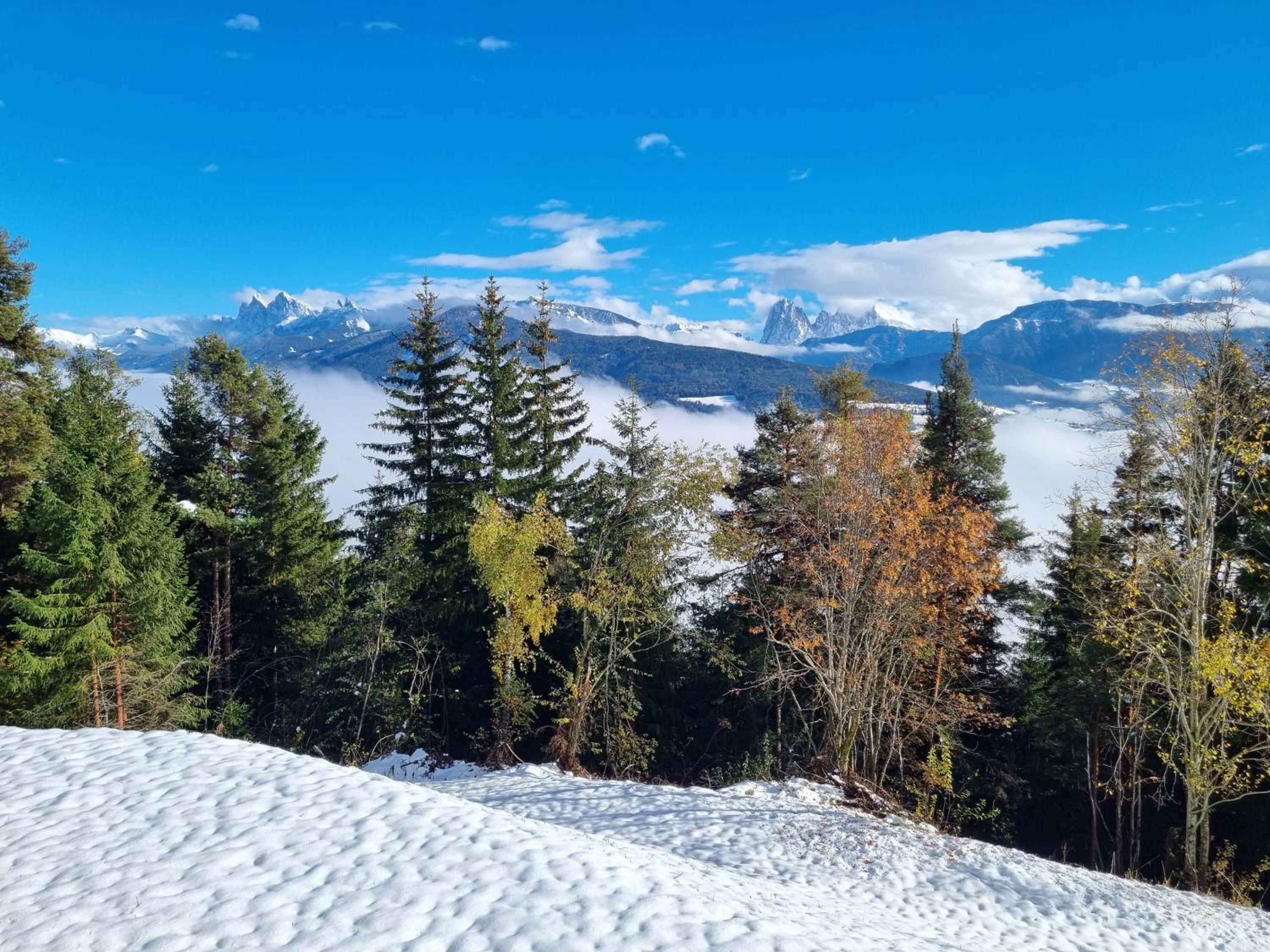 Alone in Chalet with view on Dolomites