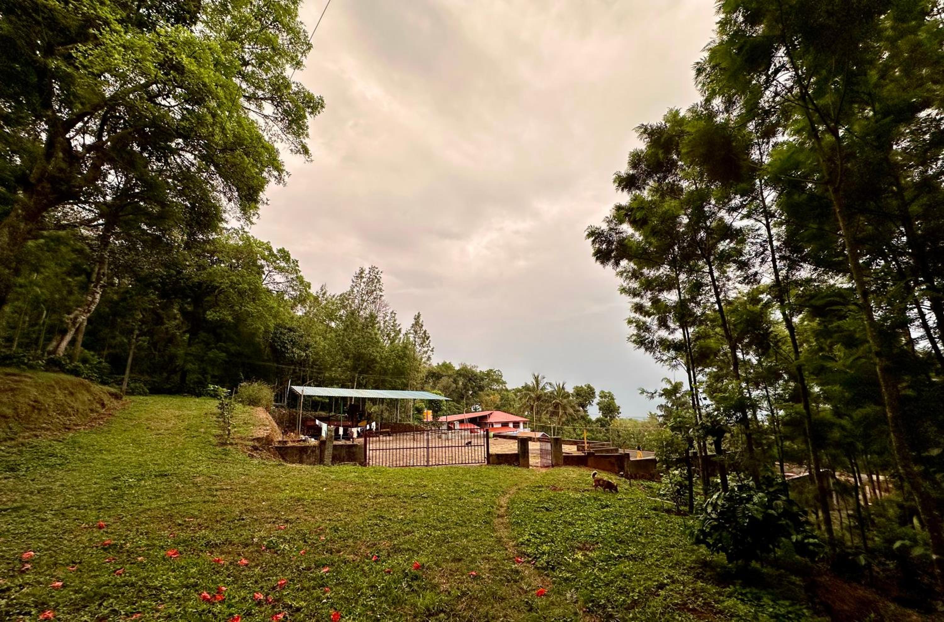 Coffee Island Homestay