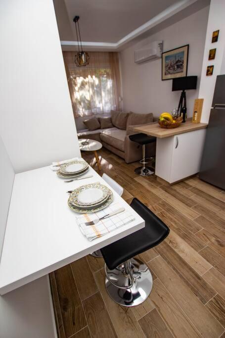 Milan apartment