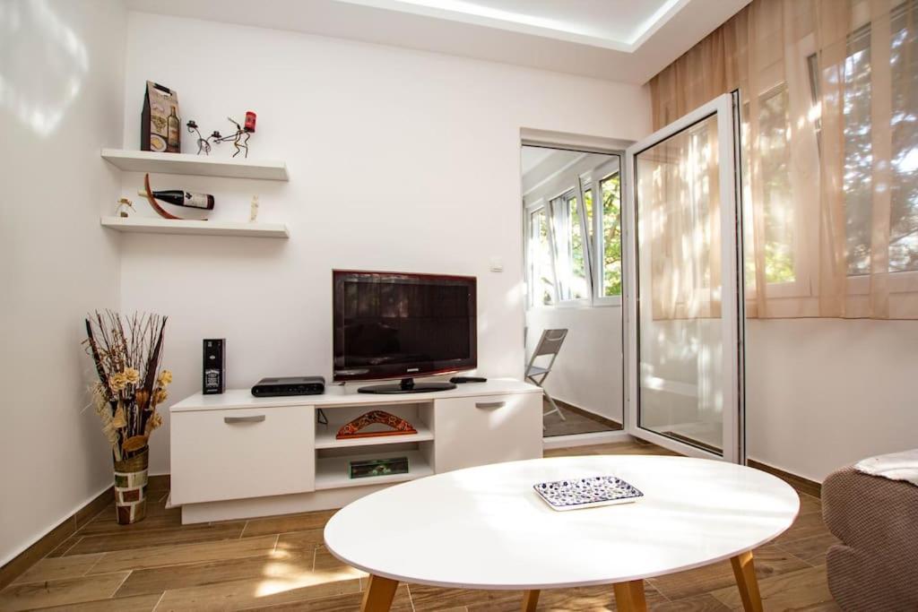 Milan apartment