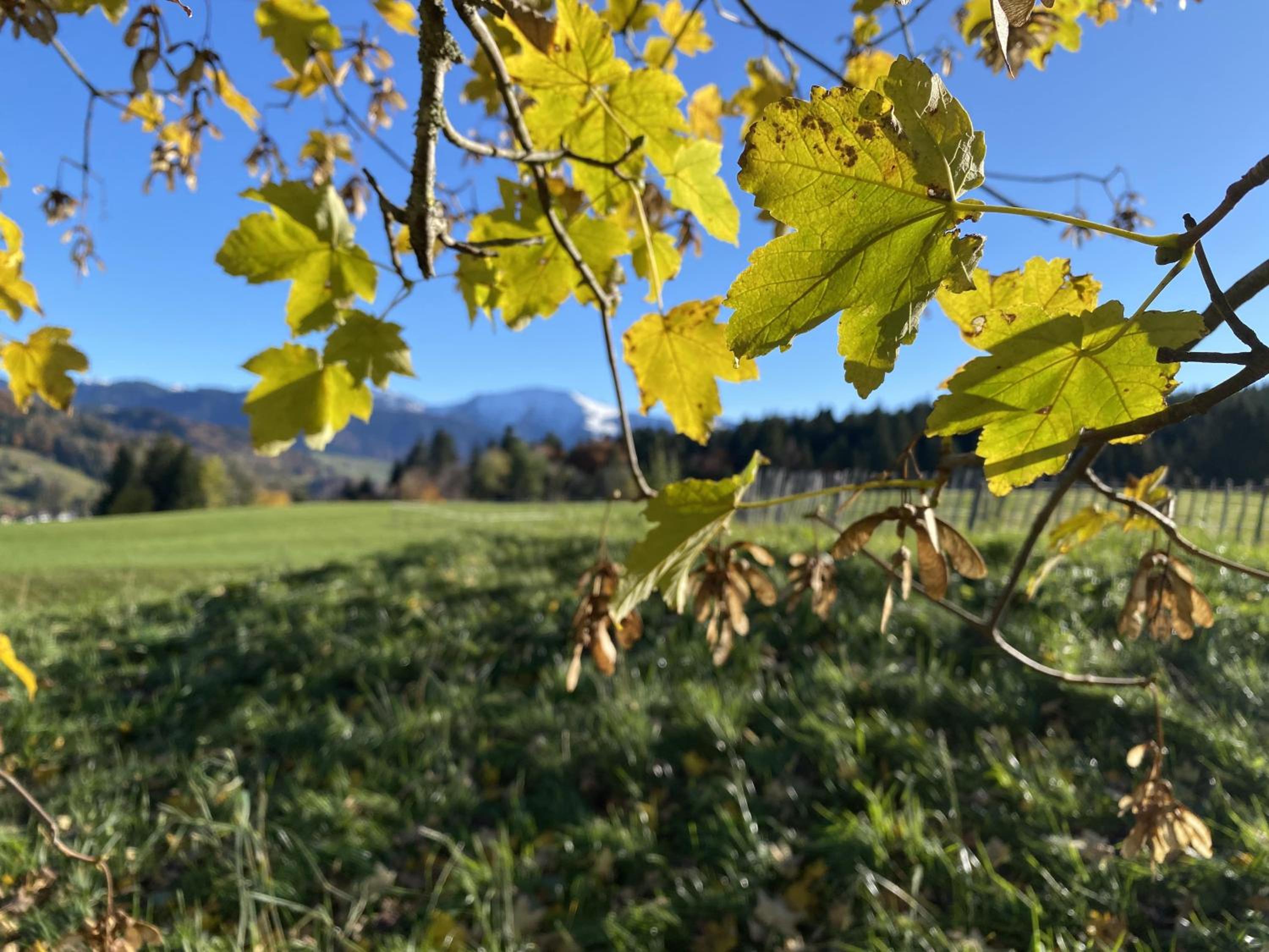 Gähwindehof Mountain Ranch Resort