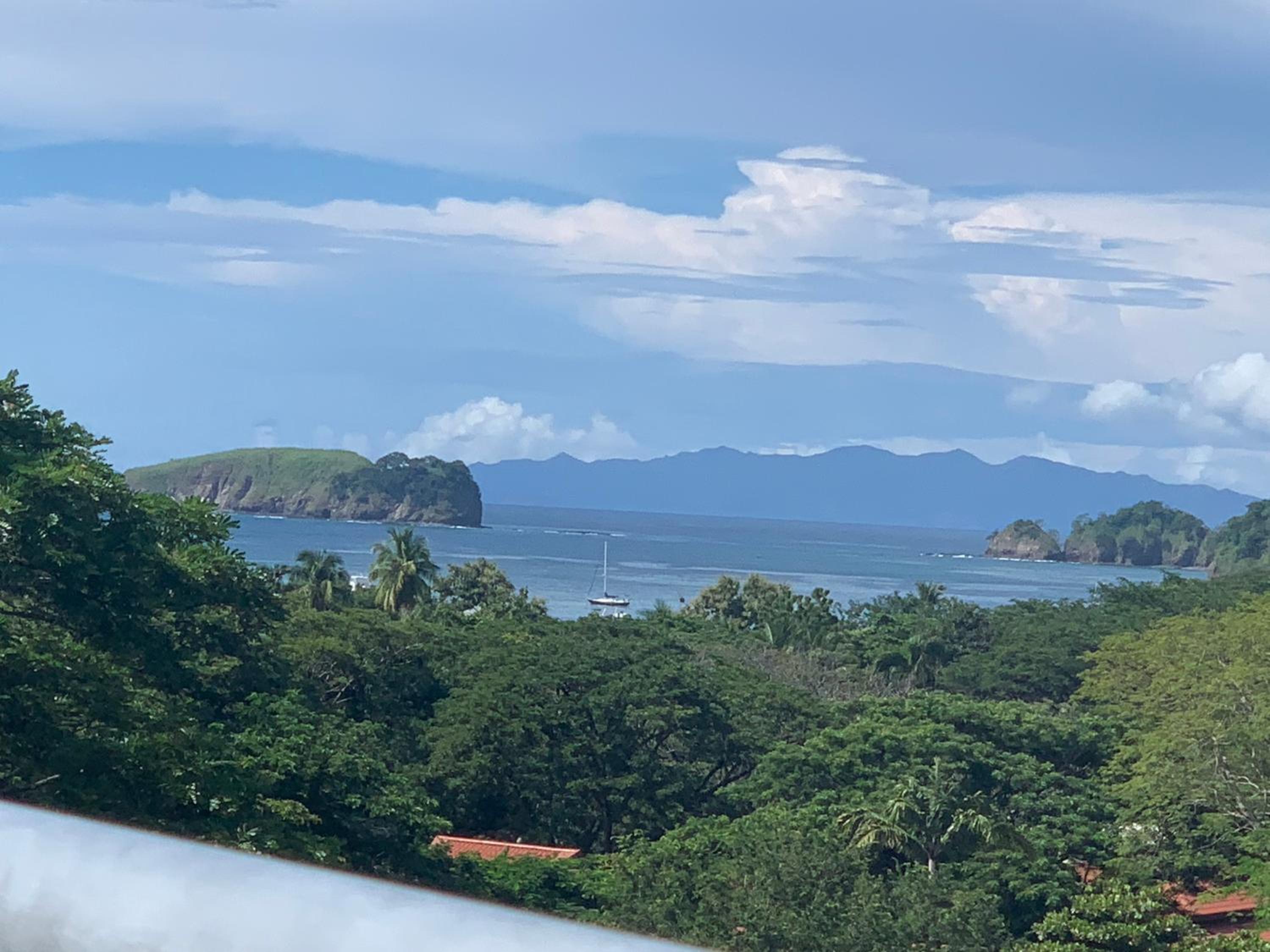 Buena Vista Coco