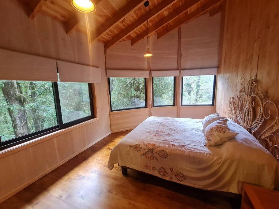 Mágica Casa Enclavada en el Corazón del Bosque