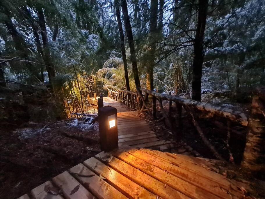 Mágica Casa Enclavada en el Corazón del Bosque