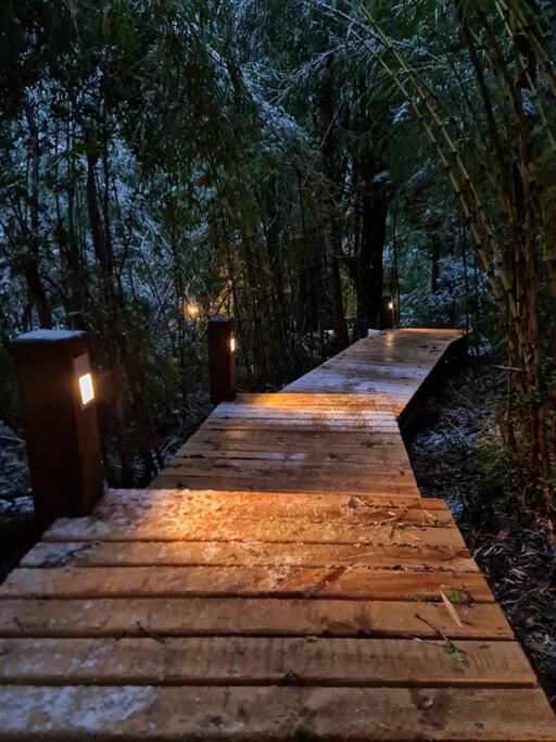 Mágica Casa Enclavada en el Corazón del Bosque