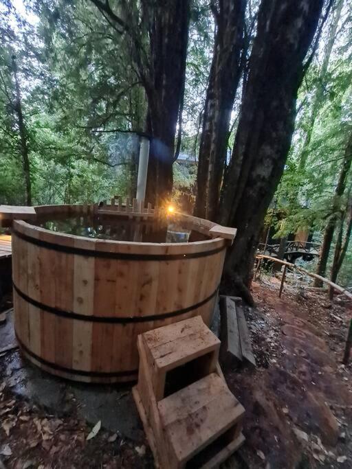 Mágica Casa Enclavada en el Corazón del Bosque