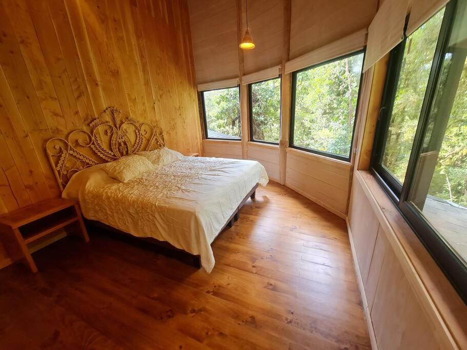 Mágica Casa Enclavada en el Corazón del Bosque