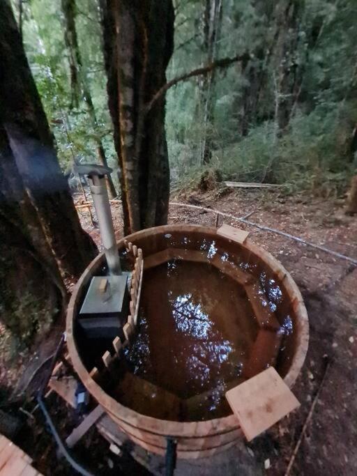 Mágica Casa Enclavada en el Corazón del Bosque