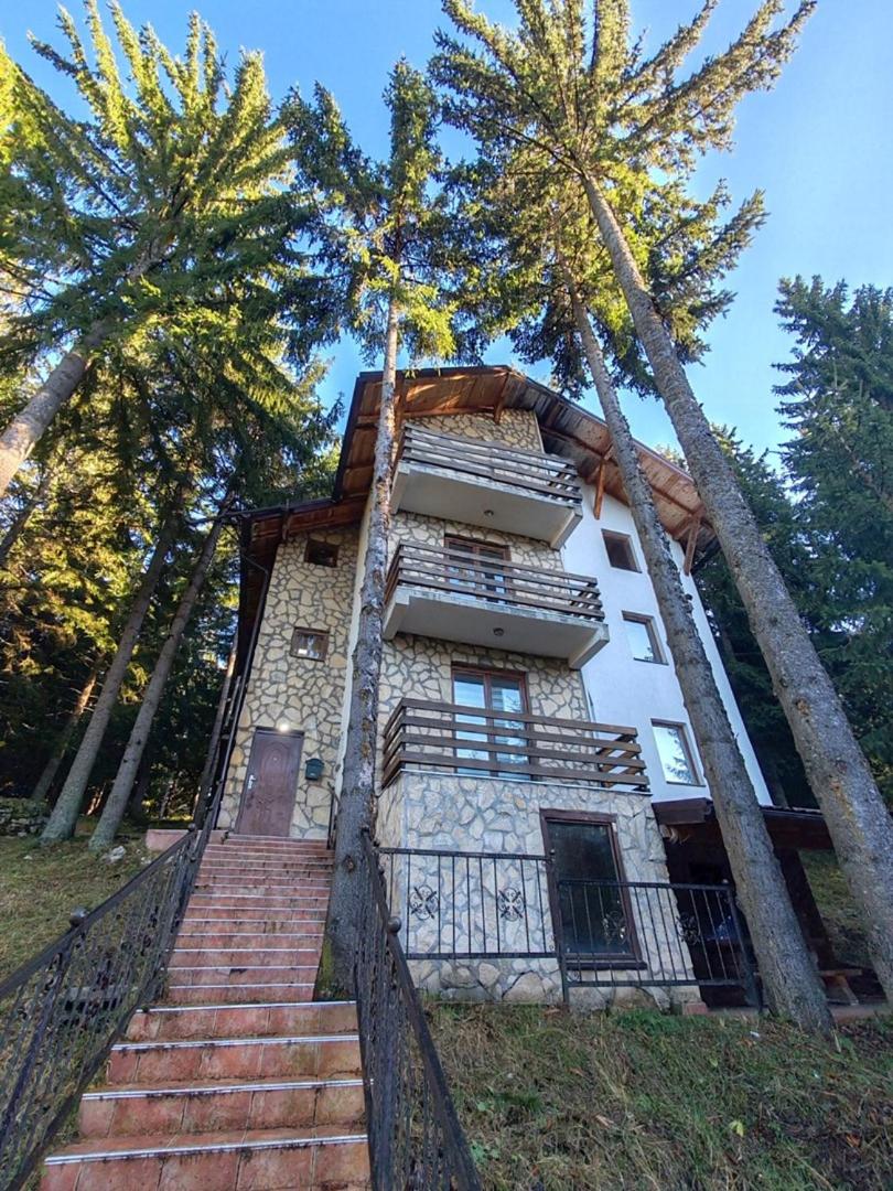 Apartments Planinski raj