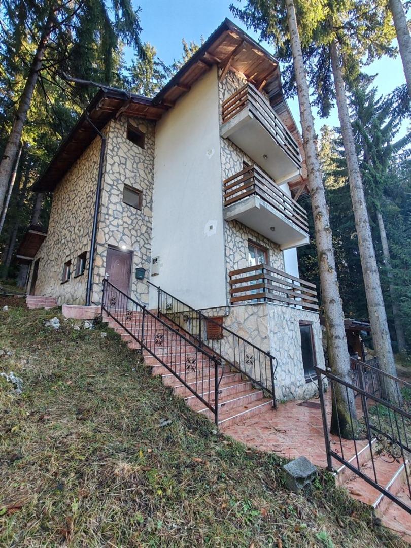 Apartments Planinski raj