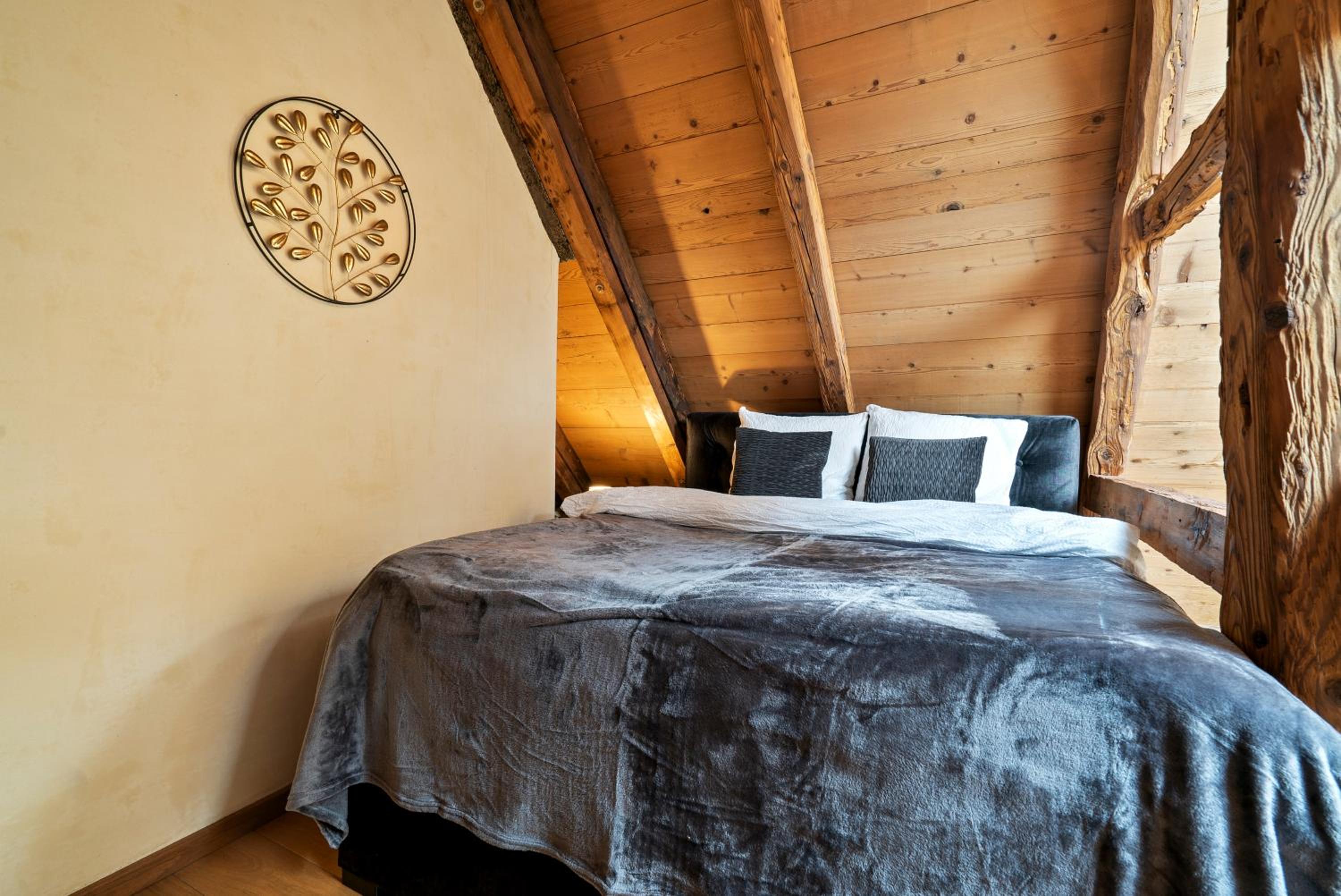 A&Y Oldtown Penthouse Loft Luzern