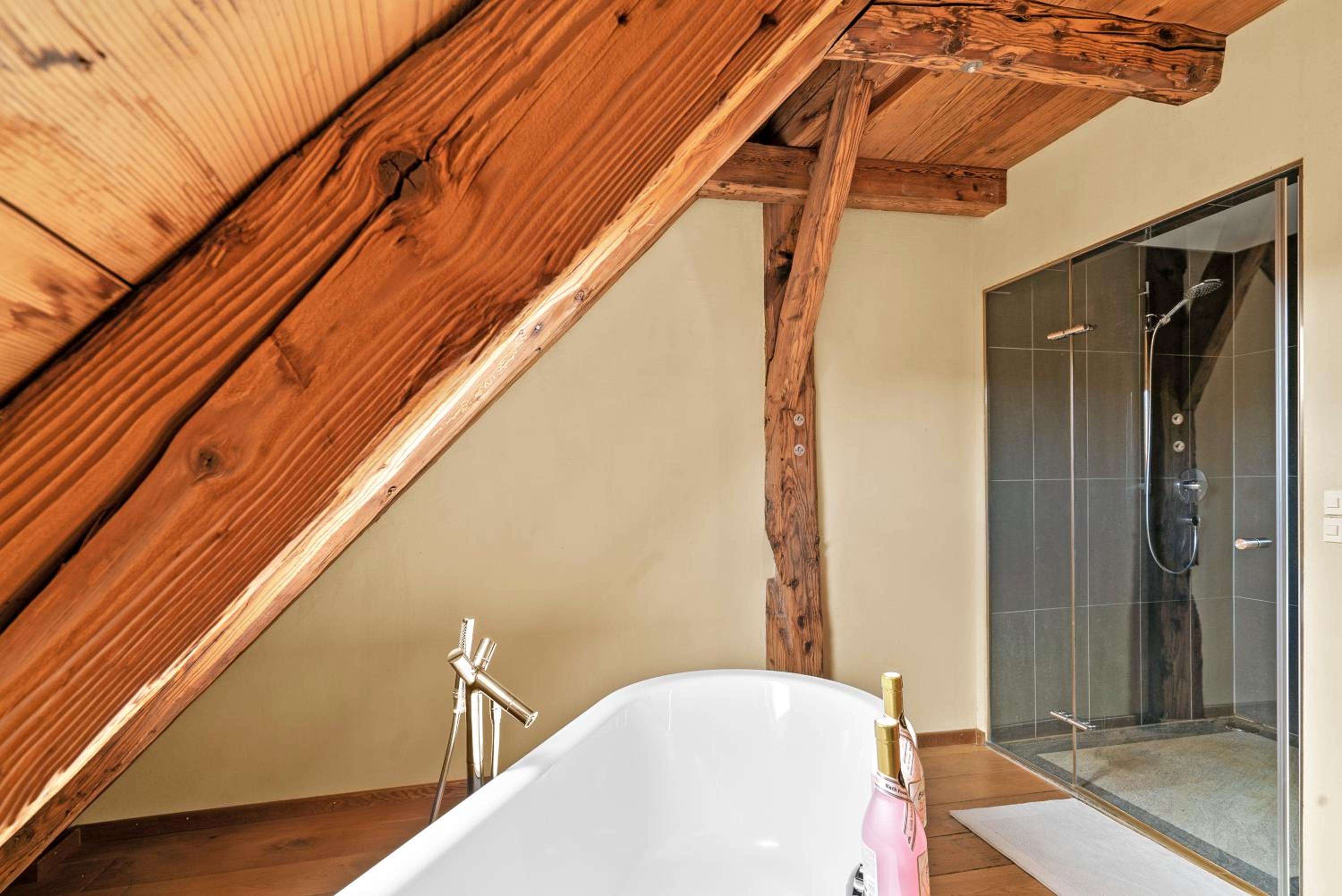 A&Y Oldtown Penthouse Loft Luzern