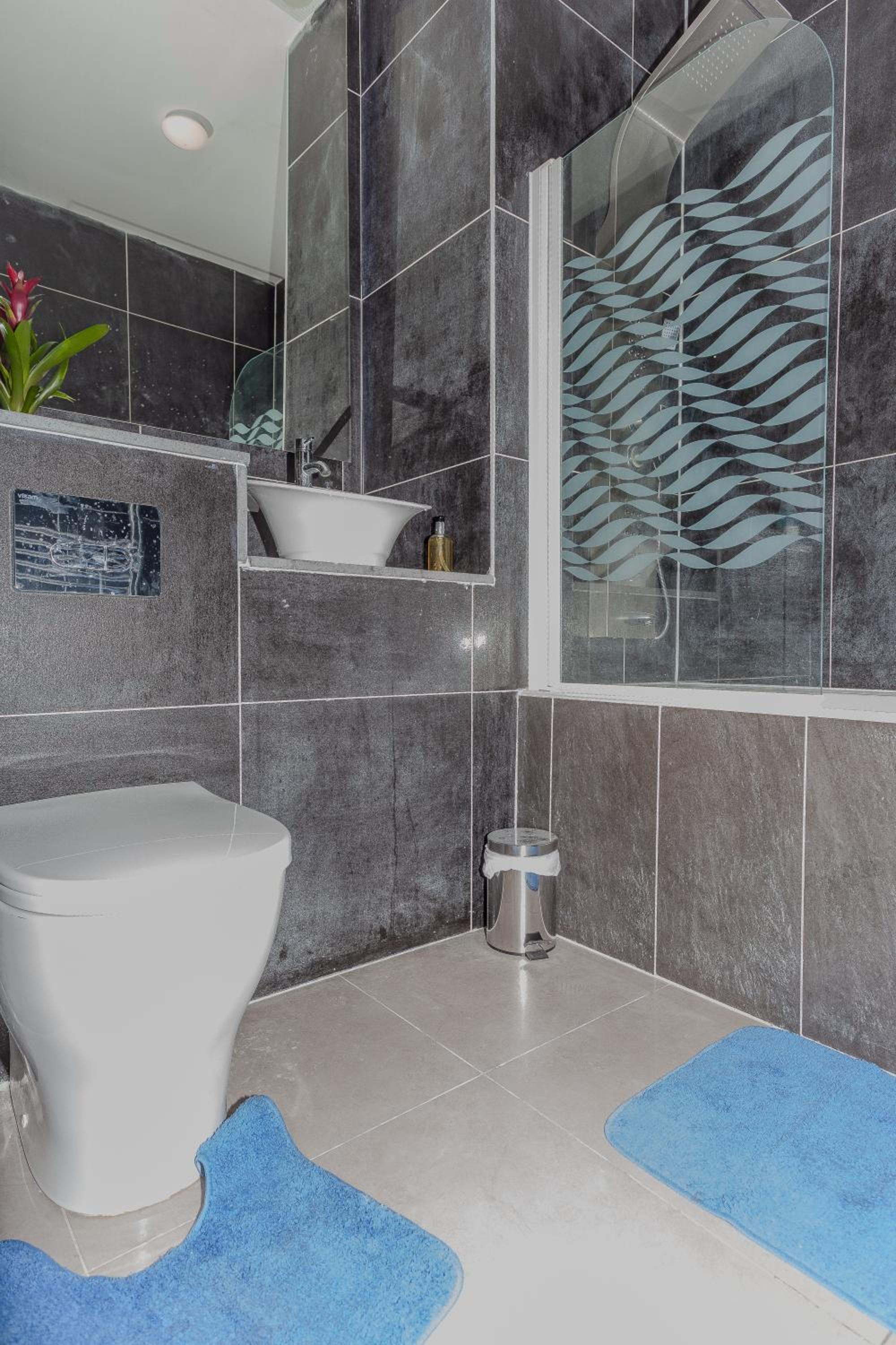 One Bedroom apartment Serviced apartment Smethwick flat 320 view 4