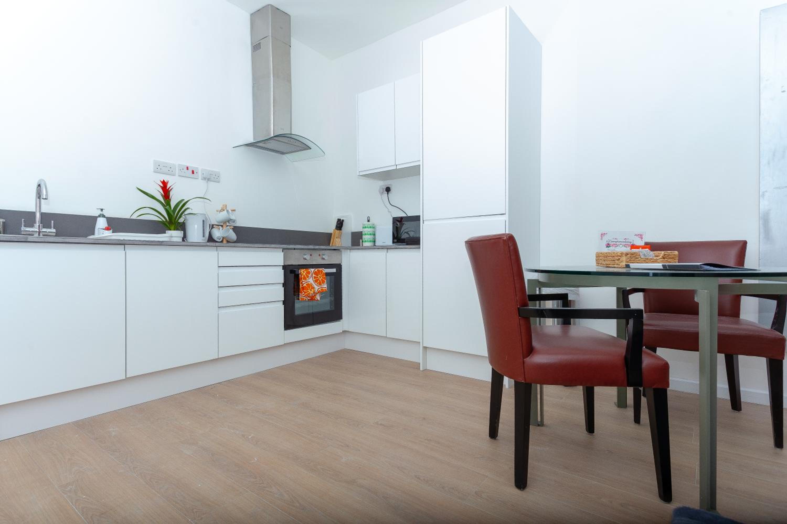 One Bedroom apartment Serviced apartment Smethwick flat 313 view 3