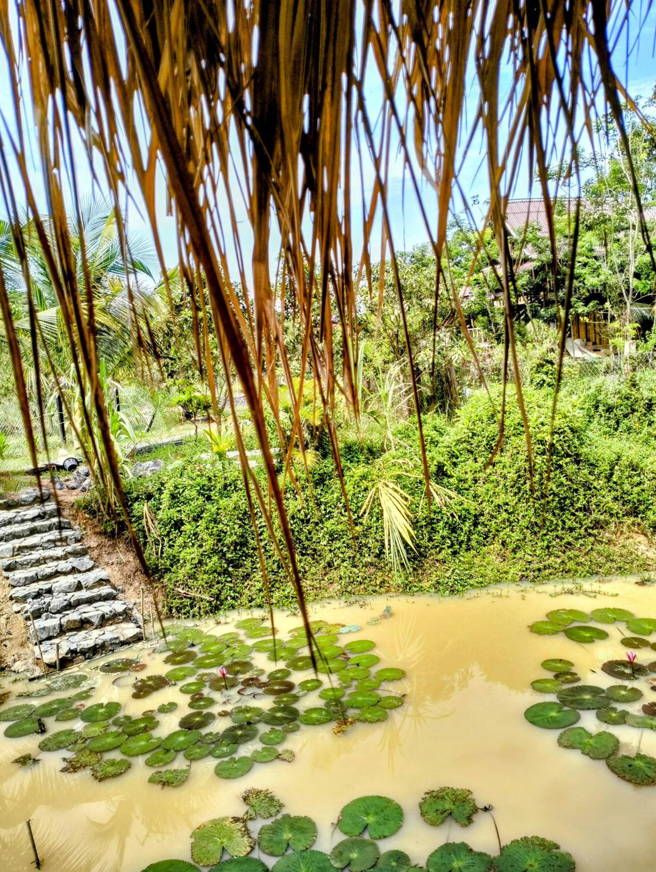 Banteay Srey Women's Only Traditional Spa and Homestay view 2