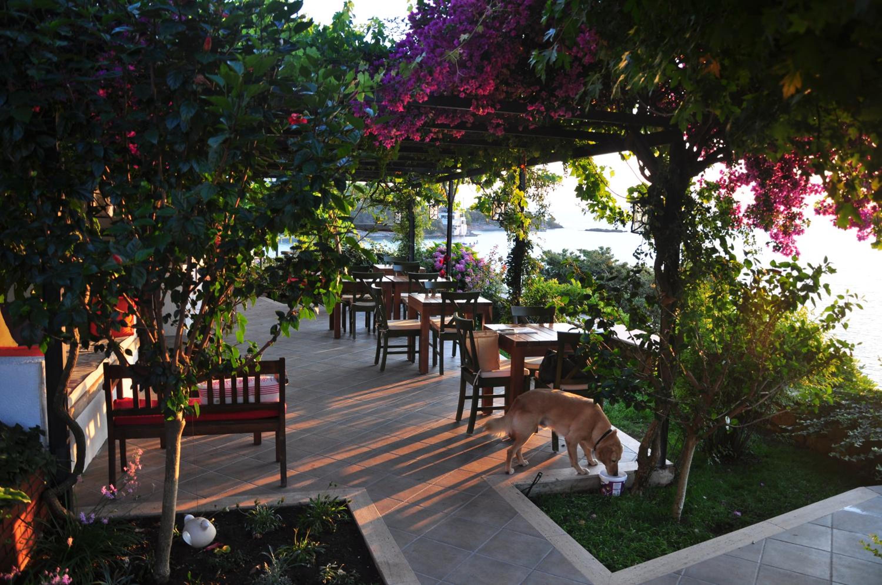 Ece Otel Sovalye Adası - Image 88