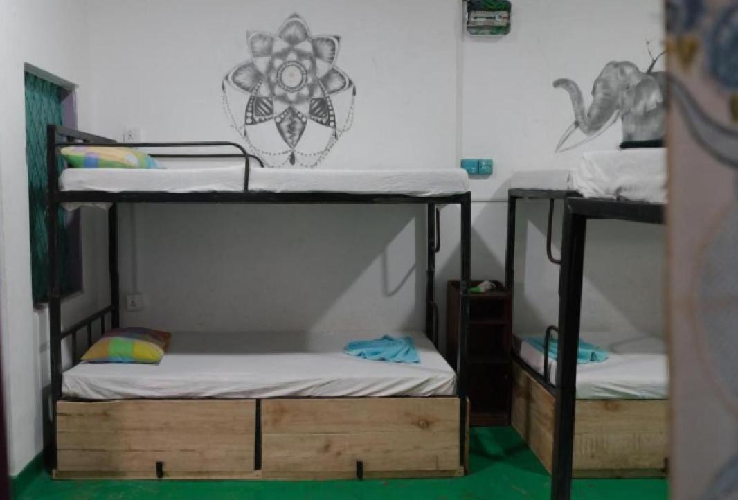 Hostel Tharu, Surf Camp & Restaurant view 4