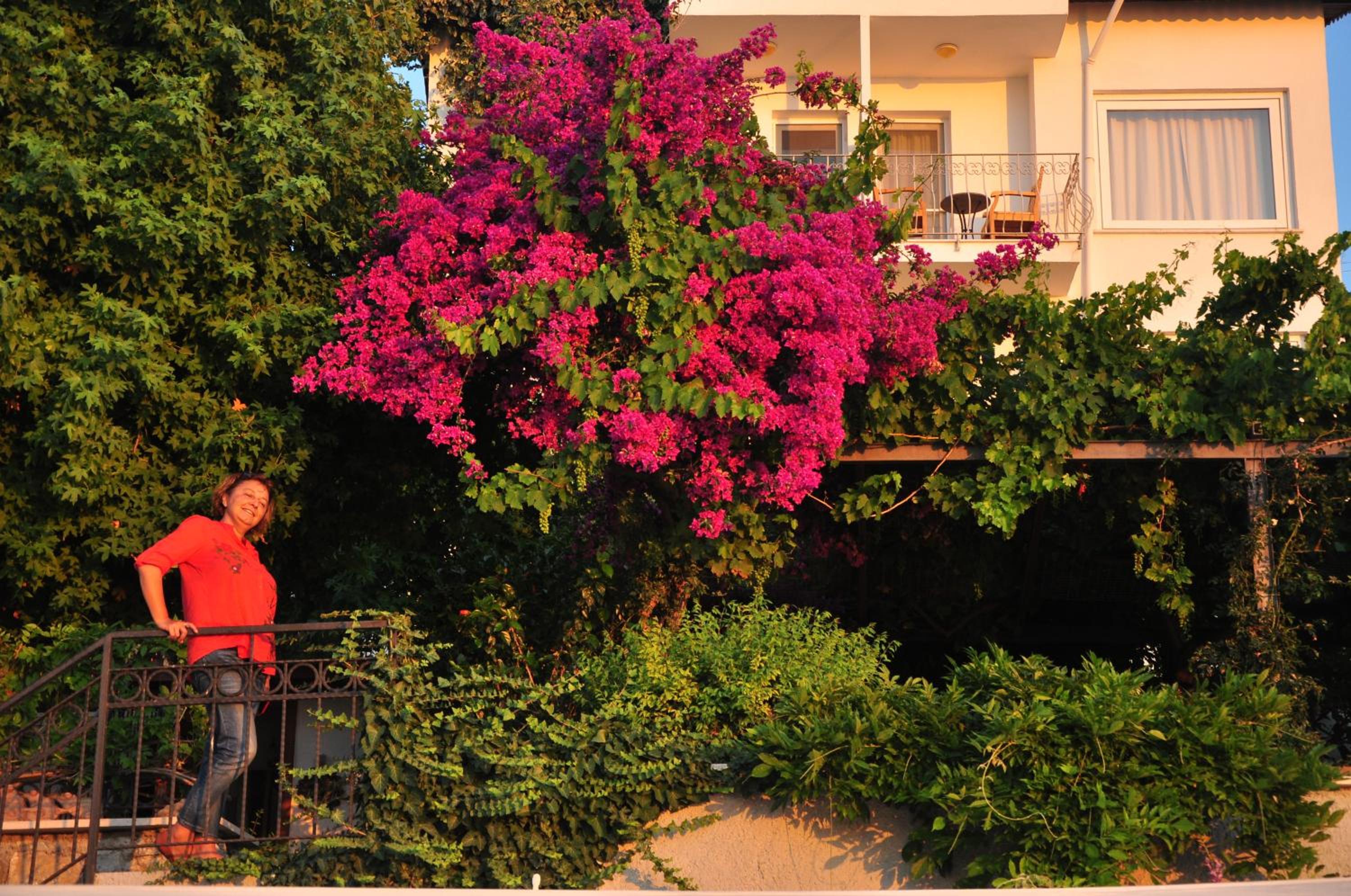 Ece Otel Sovalye Adası - Image 169