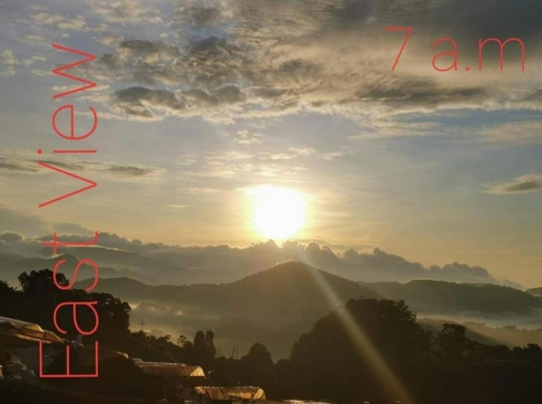 Kensington Sunrise sg, Palas Horizon,kea farm photo 7