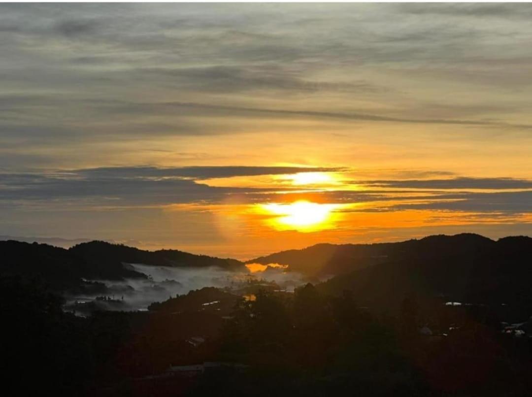 Kensington Sunrise sg, Palas Horizon,kea farm photo 4