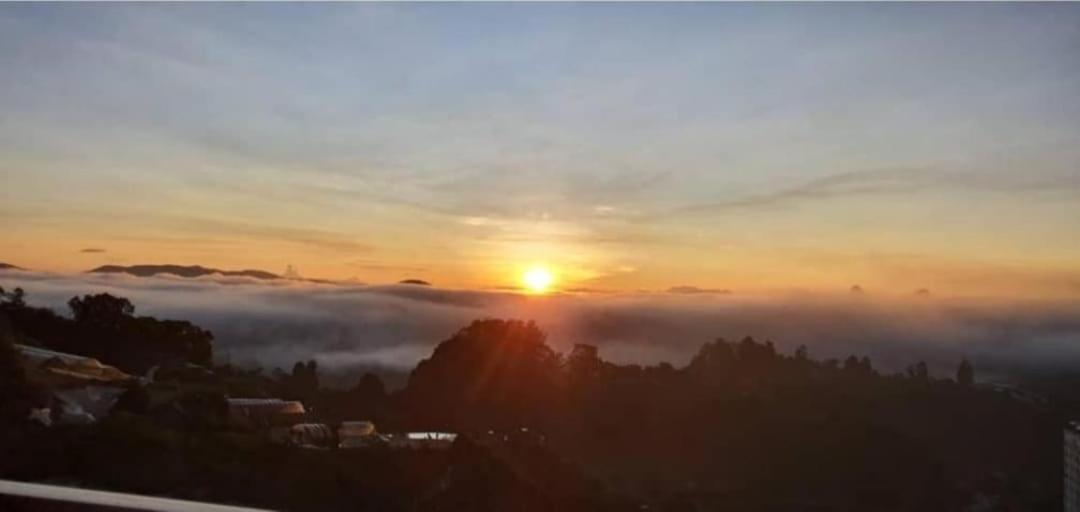 Kensington Sunrise sg, Palas Horizon,kea farm photo 5