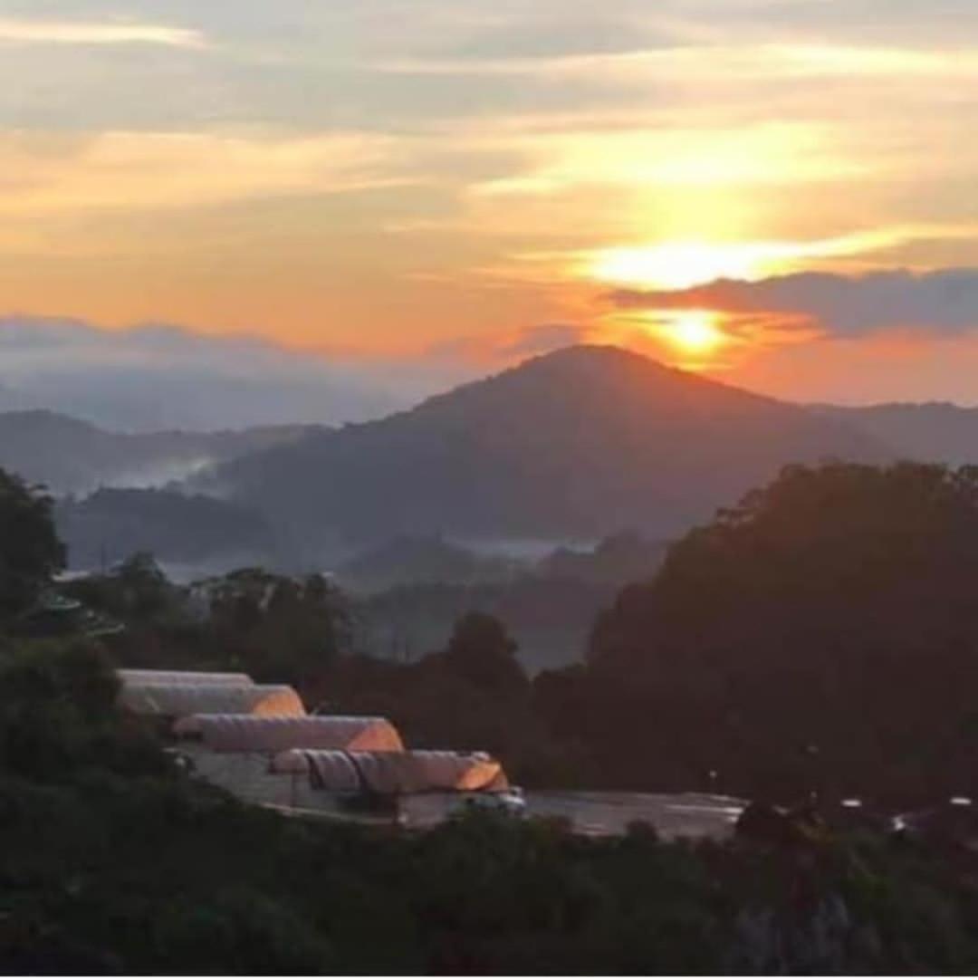 Kensington Sunrise sg, Palas Horizon,kea farm