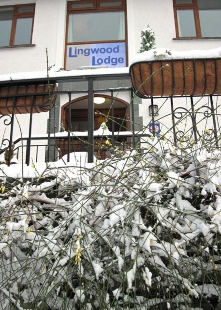 Lingwood Lodge