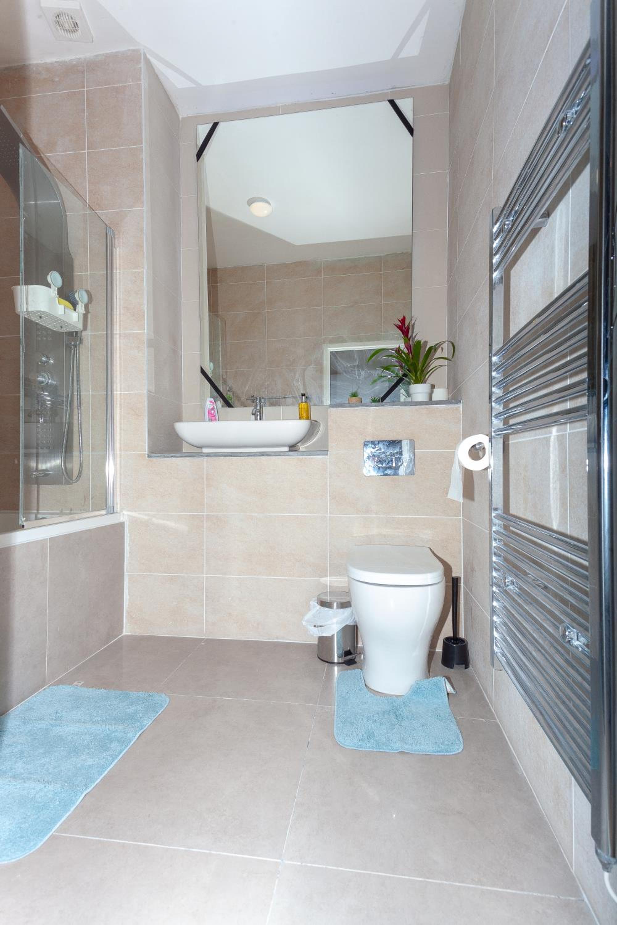 One bedroom serviced apartment Smethwick flat 310 view 4