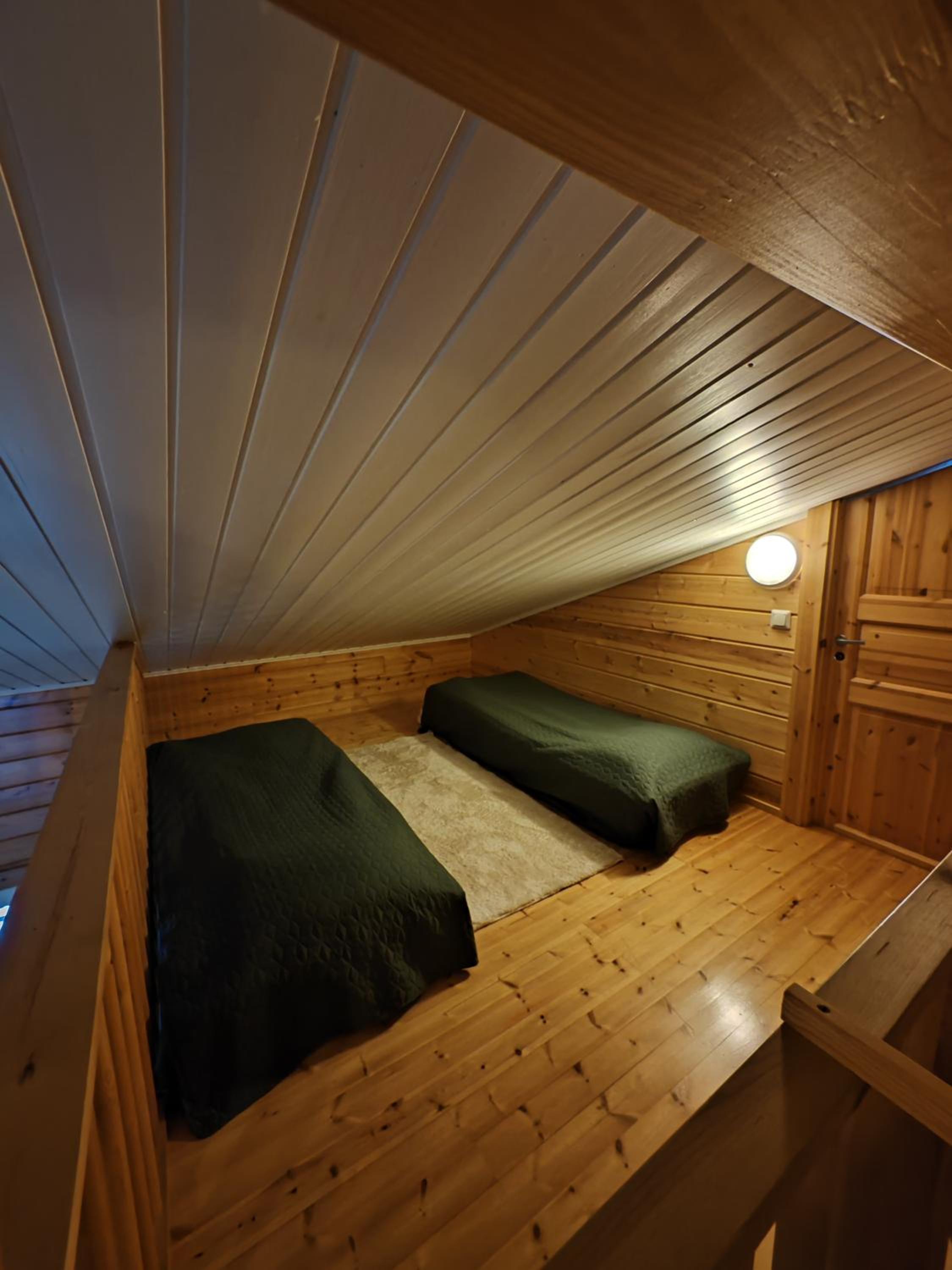 Rukan Tunturipöllö