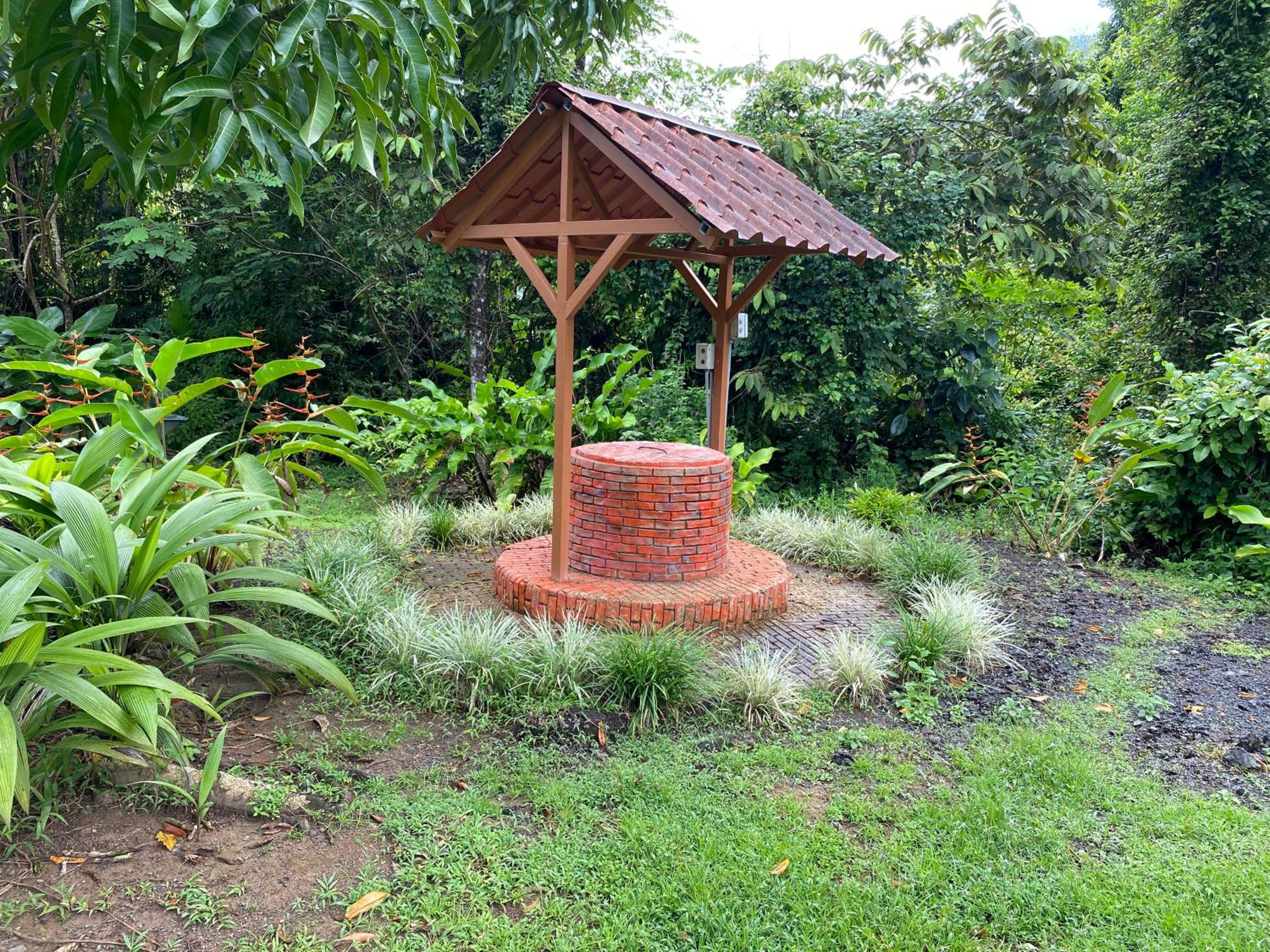 Photo 49
