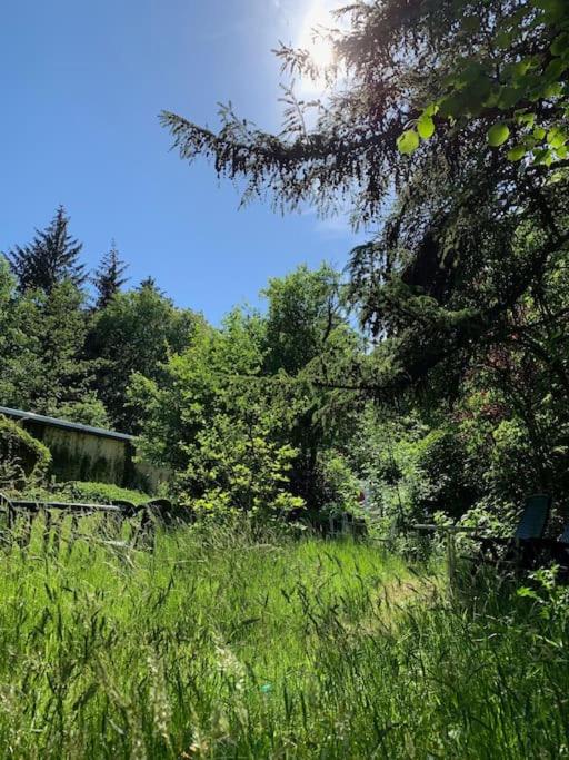 Sonnige Wohnung im Waldgebiet