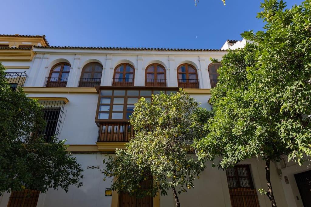 Santa Cruz Refinadores Suite by Valcambre