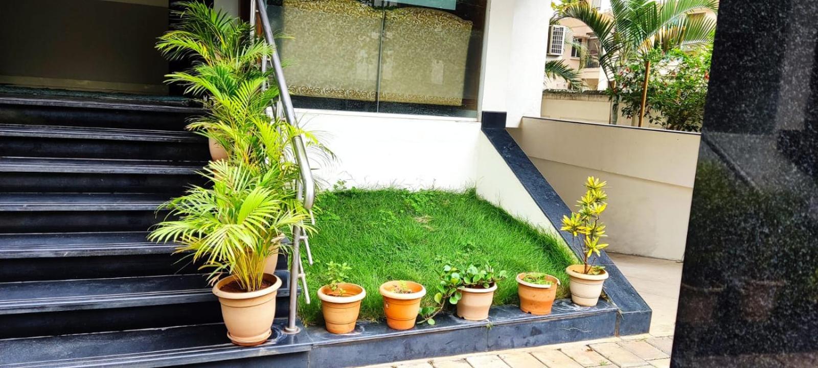 garden