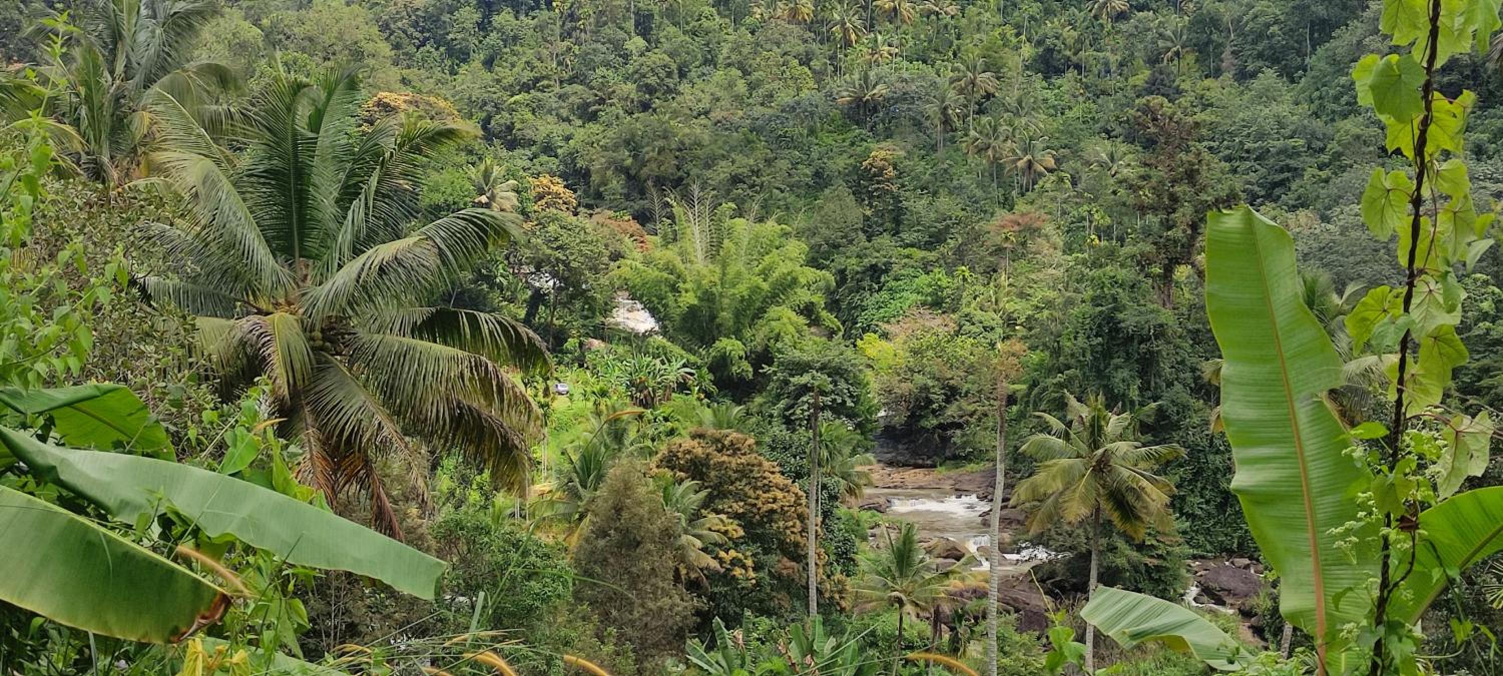 Munnar Village Homes