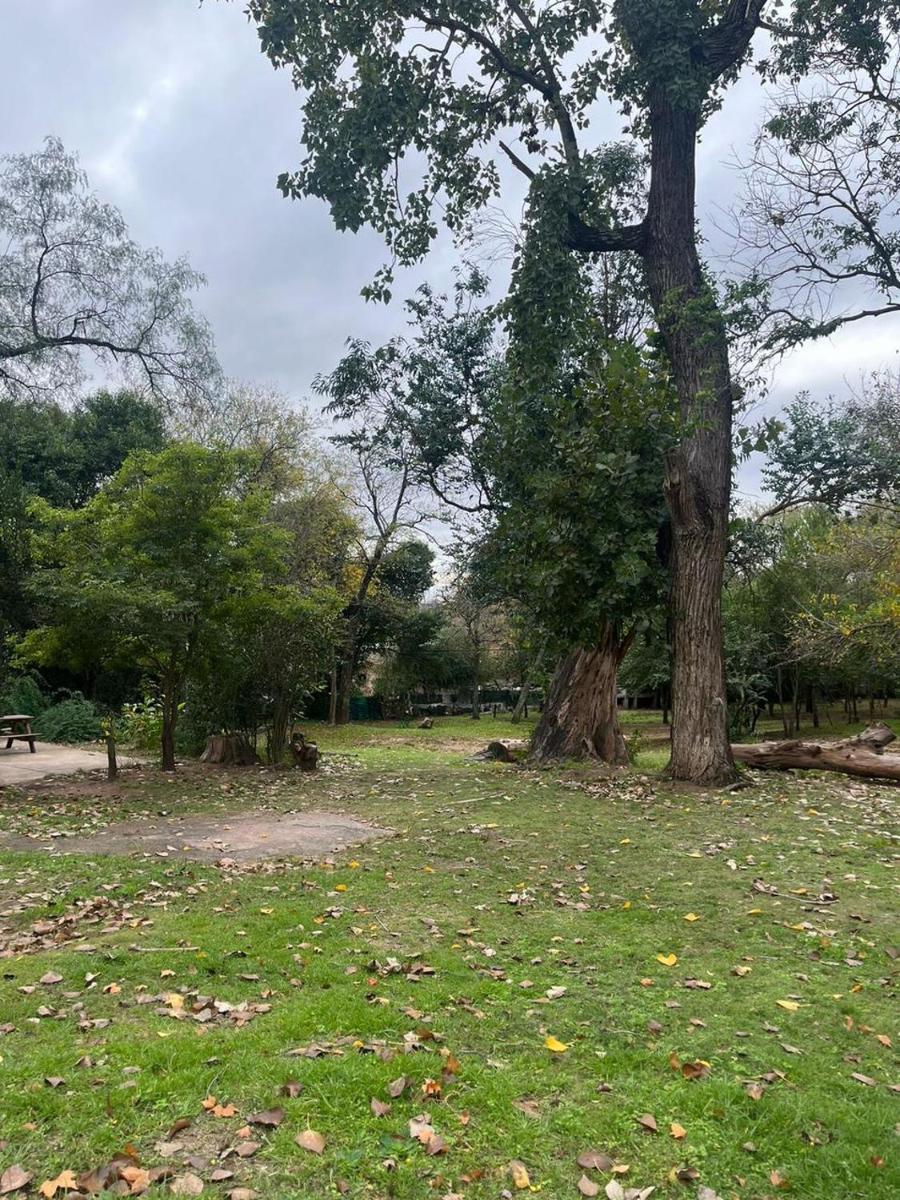 children's play area