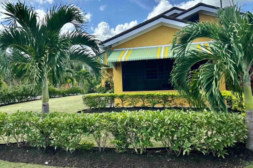Dell's Exotic Haven, 2 bedrooms, 2 baths, pool, gym