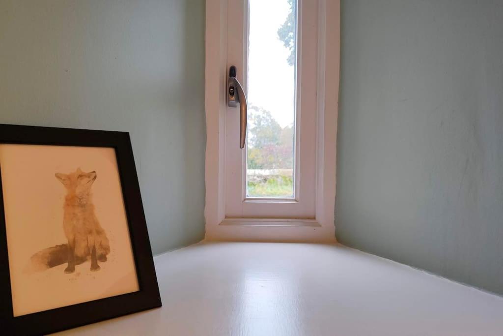 Romantic Escape and Stargazer's Hideaway nr Dark Sky, Alnwick, Kielder