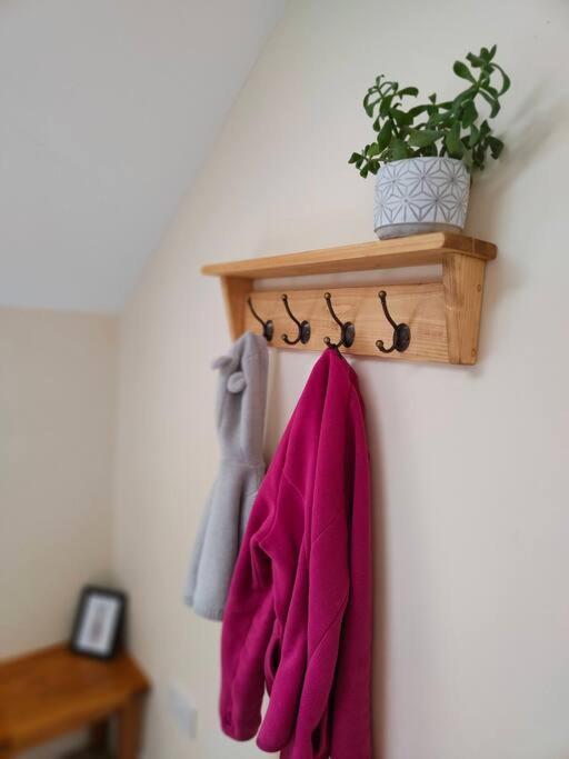 Romantic Escape and Stargazer's Hideaway nr Dark Sky, Alnwick, Kielder