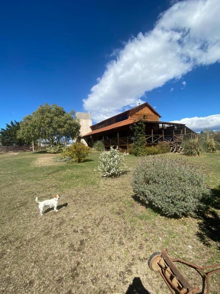 Cabaña de campo